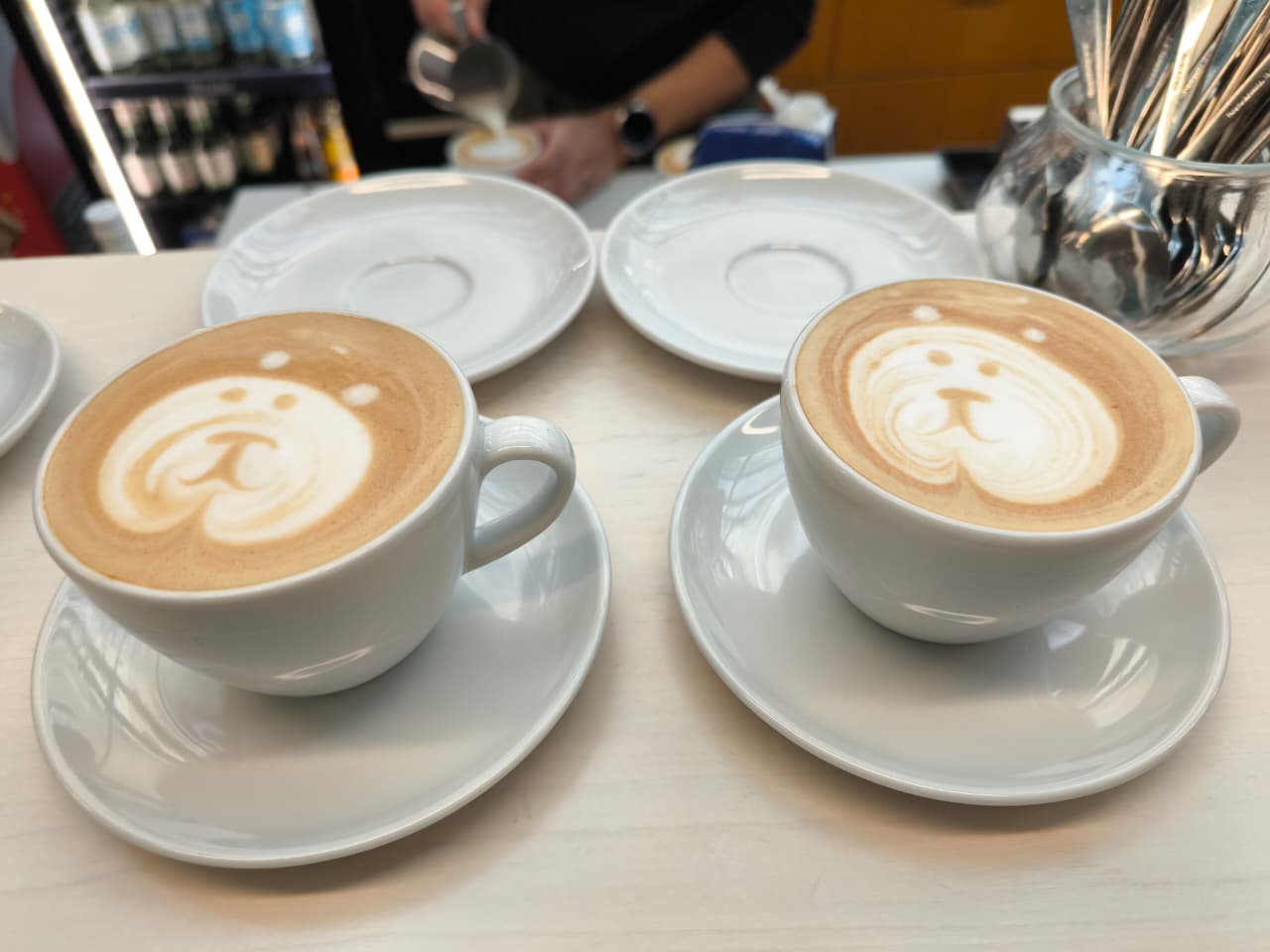 Twin bear faces — freehand latte art by Masood Sultan